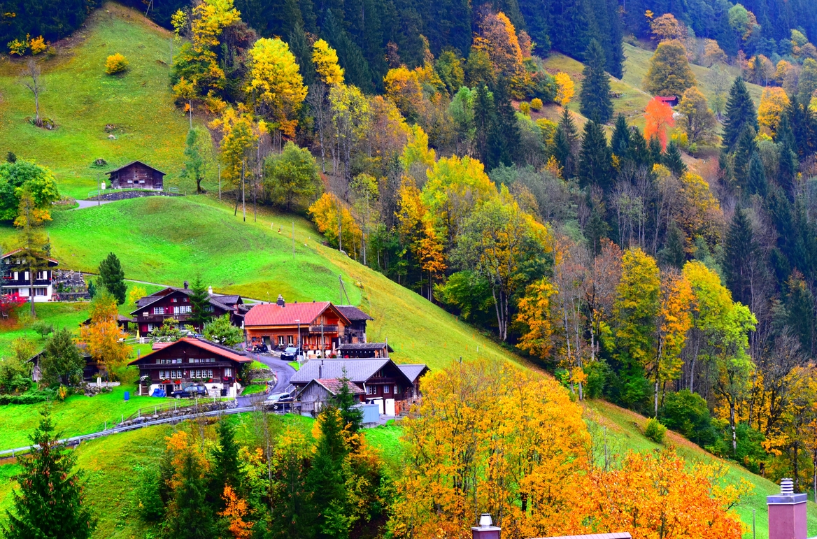 Golden Autumn in Grindelwald, Switzerland