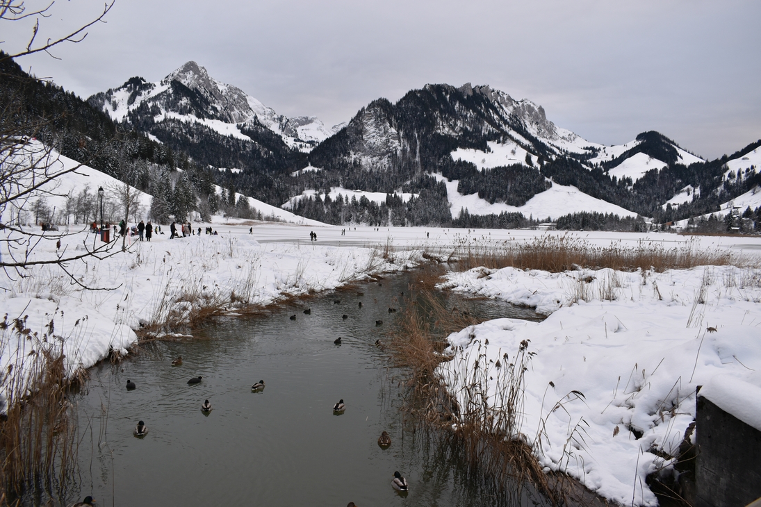 Winter wonderland in Swiss mountains - Snow activities